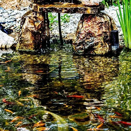 Sungarden Wellness Szálloda Siófok